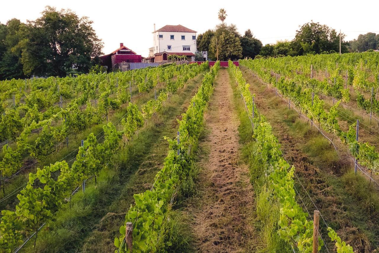 Monção Quinta De Vila Nova - Agroturismo מראה חיצוני תמונה