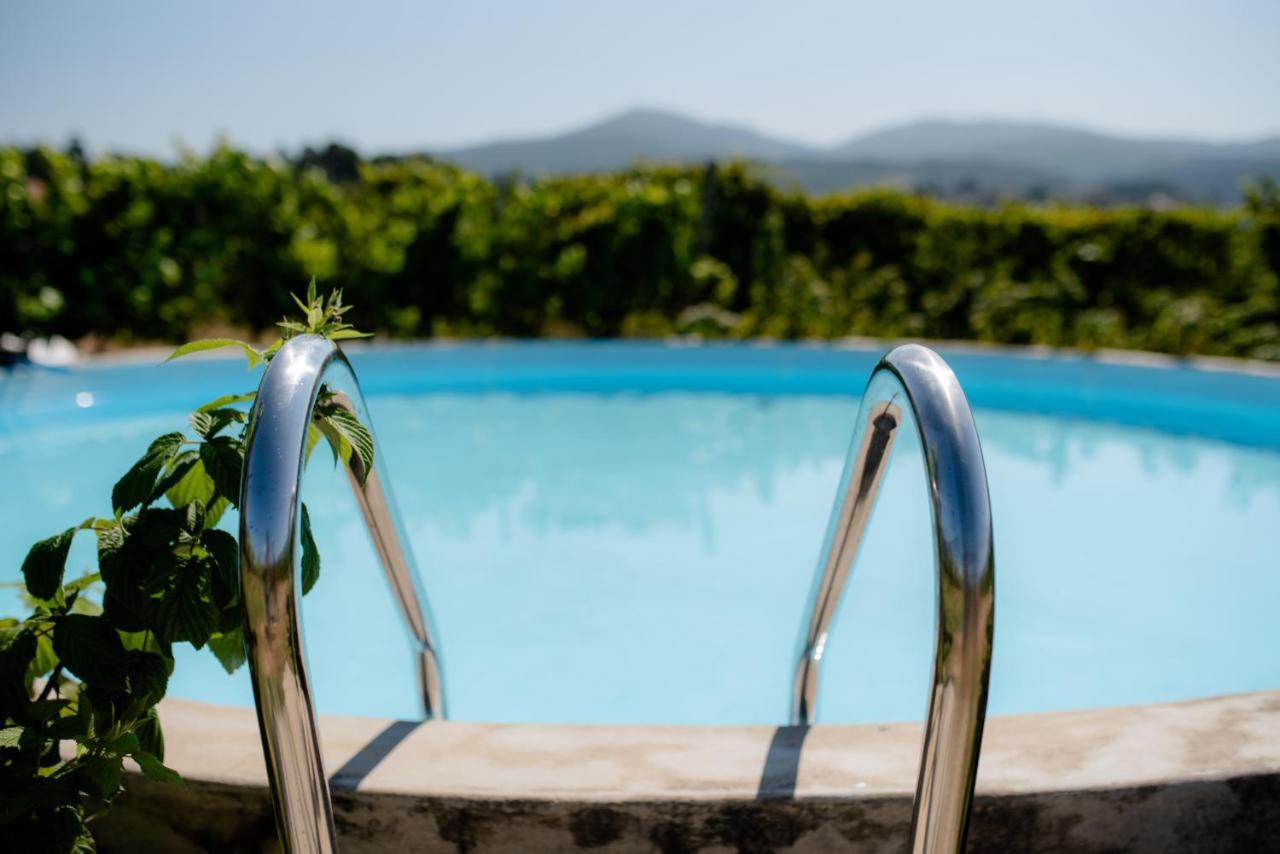 Monção Quinta De Vila Nova - Agroturismo מראה חיצוני תמונה