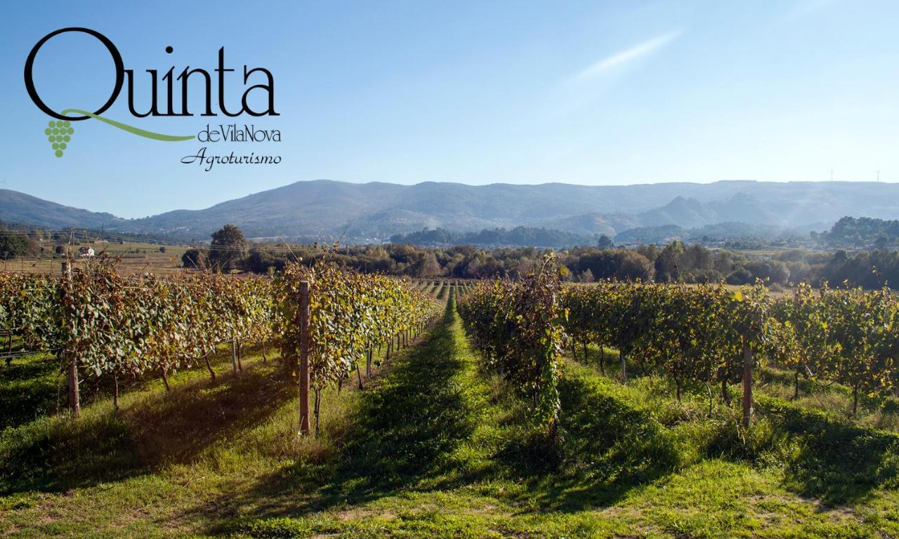 Monção Quinta De Vila Nova - Agroturismo מראה חיצוני תמונה