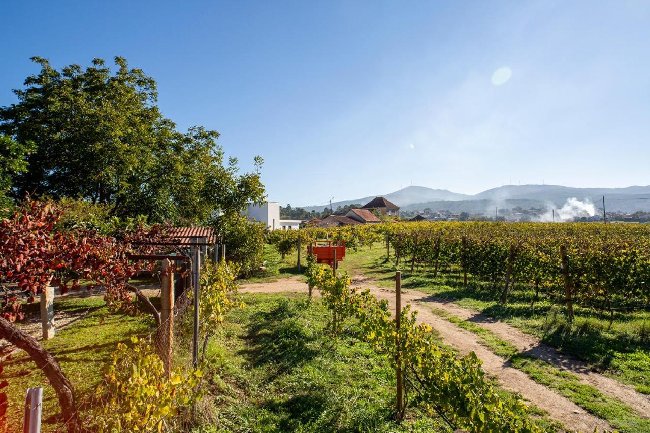 Monção Quinta De Vila Nova - Agroturismo מראה חיצוני תמונה
