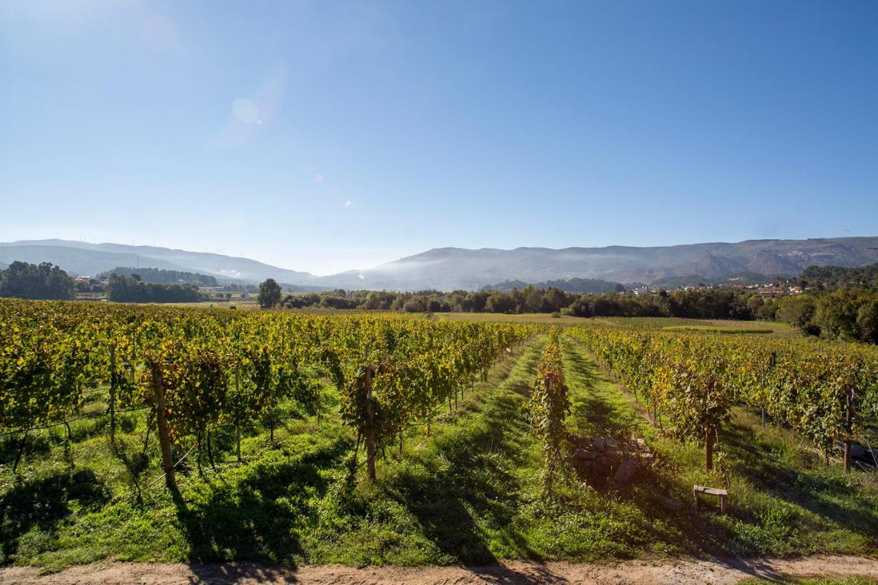Monção Quinta De Vila Nova - Agroturismo מראה חיצוני תמונה